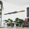 Serlande Pendelleuchte Gold, Schwarz, 1-flammig