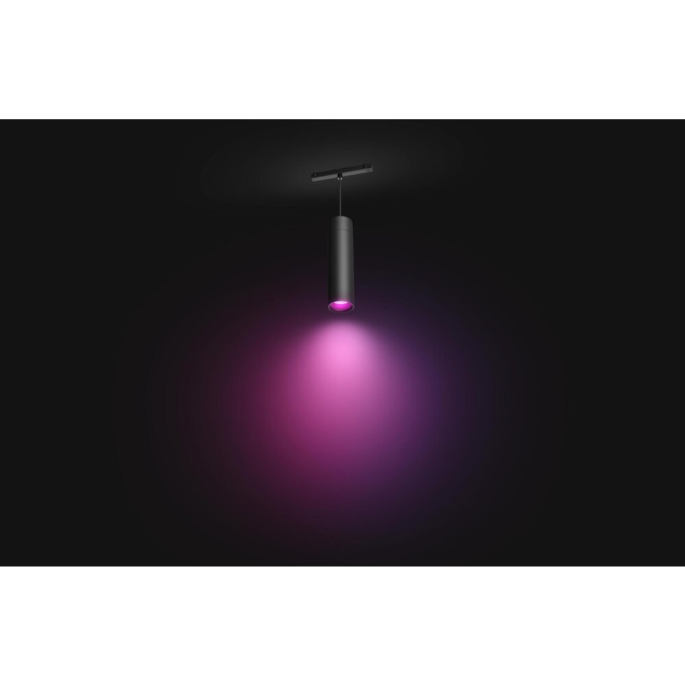 Philips Hue Perifo Erweiterungspendel LED Schwarz, 1-flammig, Farbwechsler main product photo