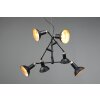 Trio Roxie Pendelleuchte Messing, Schwarz, 6-flammig