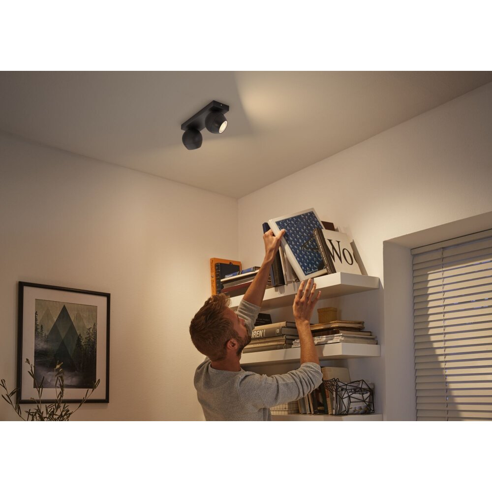 Philips Hue Buckram Deckenleuchte LED Schwarz, 2-flammig, Fernbedienung main product photo