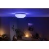 Philips Hue Flourish Deckenlampe LED Weiß, 1-flammig, Farbwechsler