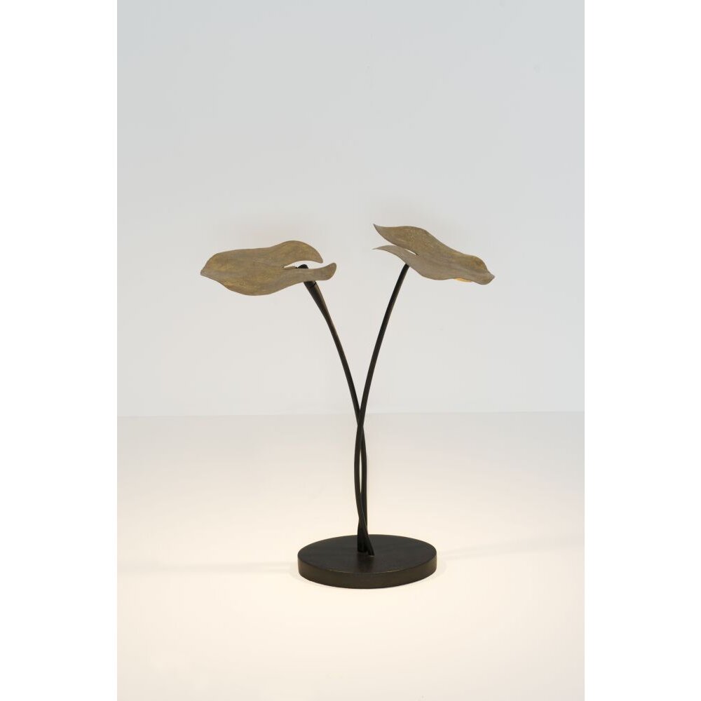 Holländer CONTROVERSA Tischleuchten LED Braun, Gold, Schwarz, 2-flammig main product photo