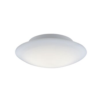 Paul Neuhaus Q-ARKTIS Deckenleuchte LED Weiß, 1-flammig, Fernbedienung, Farbwechsler