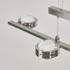 Fernandaires Pendelleuchte LED Nickel-Matt, 8-flammig