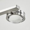 Fernandaires Pendelleuchte LED Nickel-Matt, 12-flammig