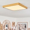 Broglen Deckenpanel LED Gold, 1-flammig