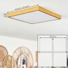 Broglen Deckenpanel LED Gold, 1-flammig