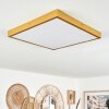 Broglen Deckenpanel LED Gold, 1-flammig