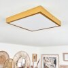 Broglen Deckenpanel LED Gold, 1-flammig