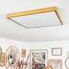 Broglen Deckenpanel LED Gold, 1-flammig