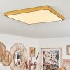 Broglen Deckenpanel LED Gold, 1-flammig