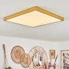 Broglen Deckenpanel LED Gold, 1-flammig