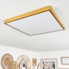 Broglen Deckenpanel LED Gold, 1-flammig