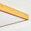 Broglen Deckenpanel LED Gold, 1-flammig