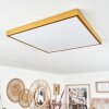 Broglen Deckenpanel LED Gold, 1-flammig