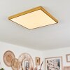 Broglen Deckenpanel LED Gold, 1-flammig