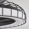 Burmeister Deckenventilator LED Schwarz, 1-flammig, Fernbedienung