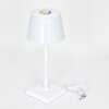 Burzaco Außentischleuchte LED Weiß, 1-flammig, Farbwechsler