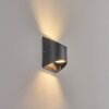 Suriyaco Außenwandleuchte LED Schwarz, 2-flammig