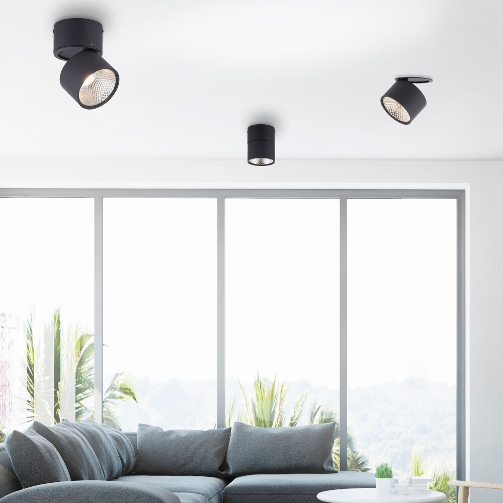 Paul Neuhaus PURE-NOLA Wandleuchte LED Schwarz, 1-flammig main product photo