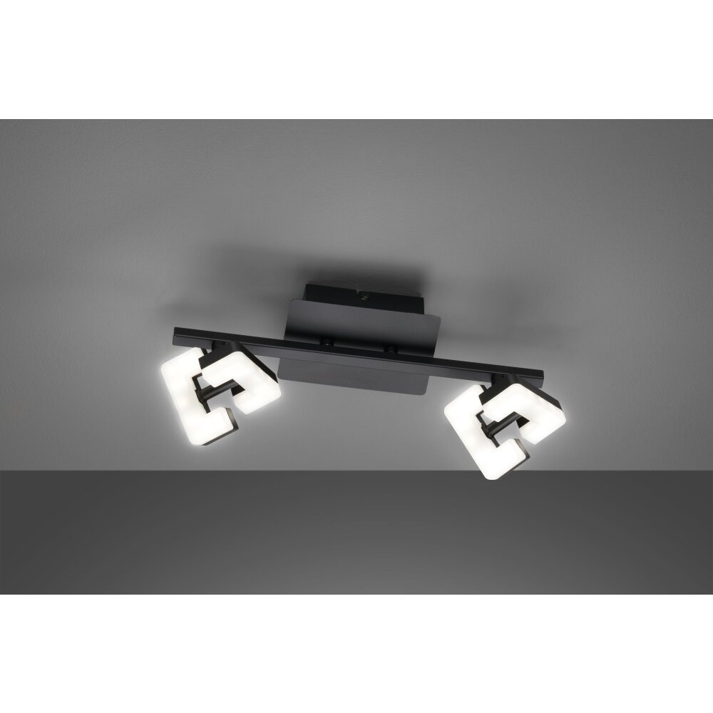 Fischer & Honsel Ray Deckenleuchte LED Schwarz, 2-flammig main product photo