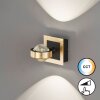 Fischer & Honsel Cluedo Wandleuchte LED Gold, 1-flammig