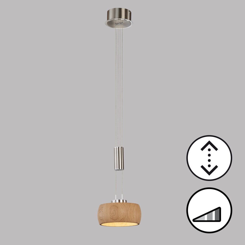 Fischer & Honsel SHINE-WOOD Pendelleuchte LED Nickel-Matt, 1-flammig main product photo