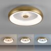 LeuchtenDirekt VERTIGO Deckenleuchte LED Gold, 1-flammig, Fernbedienung LeuchtenDirekt VERTIGO Deckenleuchte LED Gold, 1-flammig, Fernbedienung