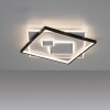 Paul Neuhaus MAILAK Deckenleuchte LED Schwarz, Weiß, 2-flammig