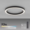 Paul Neuhaus PURE-LINES Deckenleuchte LED Anthrazit, 1-flammig, Fernbedienung