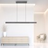 Paul Neuhaus PURE-MOTO-RISE Pendelleuchte LED Grau, 3-flammig, Fernbedienung