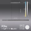 Paul Neuhaus PURE-MOTO-RISE Pendelleuchte LED Grau, 3-flammig, Fernbedienung