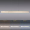 Paul Neuhaus PURE-MOTO-RISE Pendelleuchte LED Gold, 3-flammig, Fernbedienung