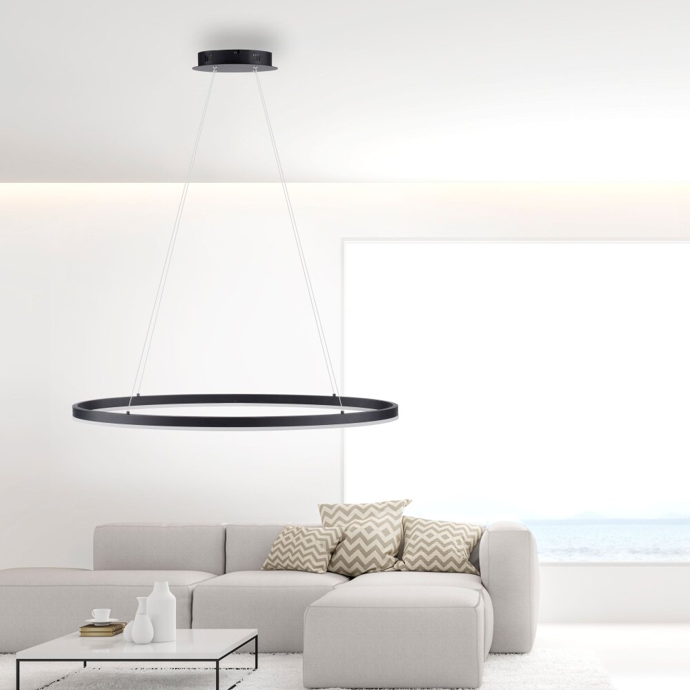 Paul Neuhaus TITUS Pendelleuchte LED Anthrazit, 1-flammig main product photo