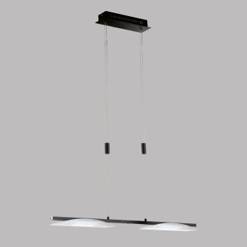 Fischer & Honsel Kop Pendelleuchte LED Schwarz, 2-flammig Fischer & Honsel Kop Pendelleuchte LED Schwarz, 2-flammig