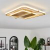 Evolene Deckenleuchte LED Gold, 1-flammig