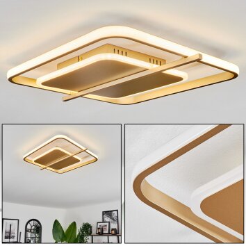 Evolene Deckenleuchte LED Gold, 1-flammig