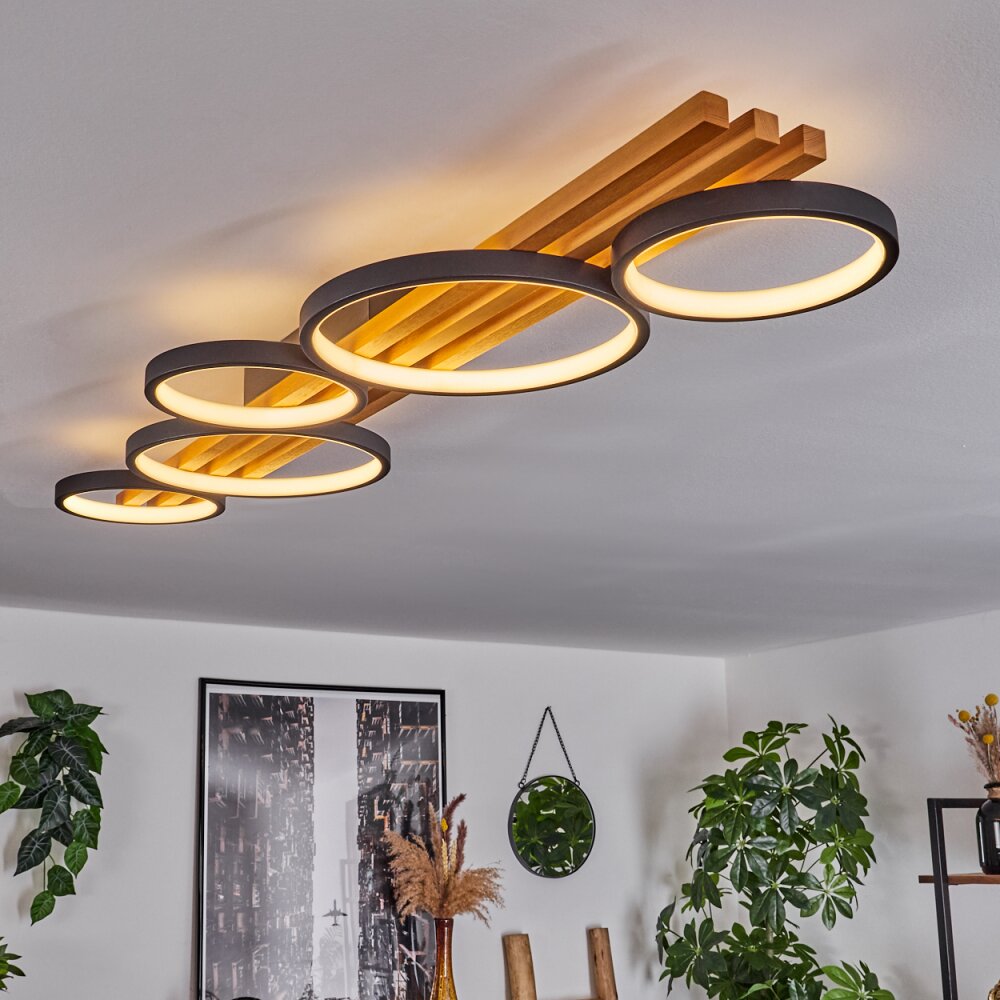Rodekro Deckenleuchte LED Schwarz, Weiß, 1-flammig