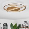 Evolene Deckenleuchte LED Gold, 1-flammig