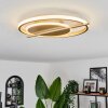 Evolene Deckenleuchte LED Gold, 1-flammig