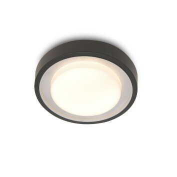 Lutec ORIGO Deckenleuchte LED Anthrazit, 1-flammig, Farbwechsler