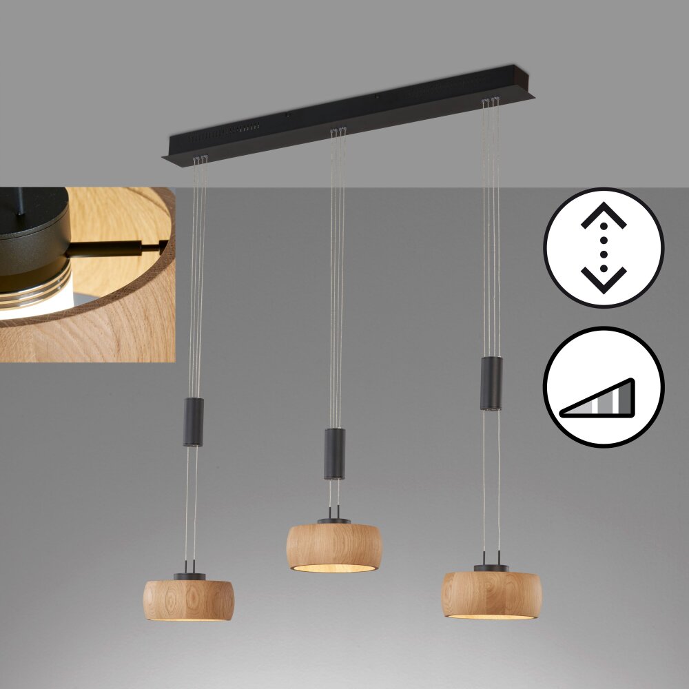 Fischer & Honsel SHINE-WOOD Pendelleuchte LED Schwarz, 3-flammig main product photo