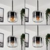 Lauden Hängeleuchte Glas 15 cm Klar, Rauchfarben, 1-flammig