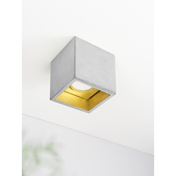 GANTlights B7 Deckenspot LED Gold, Grau, 1-flammig