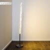Mapleton Stehlampe LED Nickel-Matt, 3-flammig, Fernbedienung