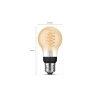 Philips Hue E27 LED 7 Watt 2100 Kelvin 550 Lumen