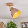 Brunnen Deckenleuchte Braun, Holzoptik, Taupe, 1-flammig