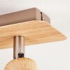 Brunnen Deckenleuchte Braun, Holzoptik, Taupe, 2-flammig