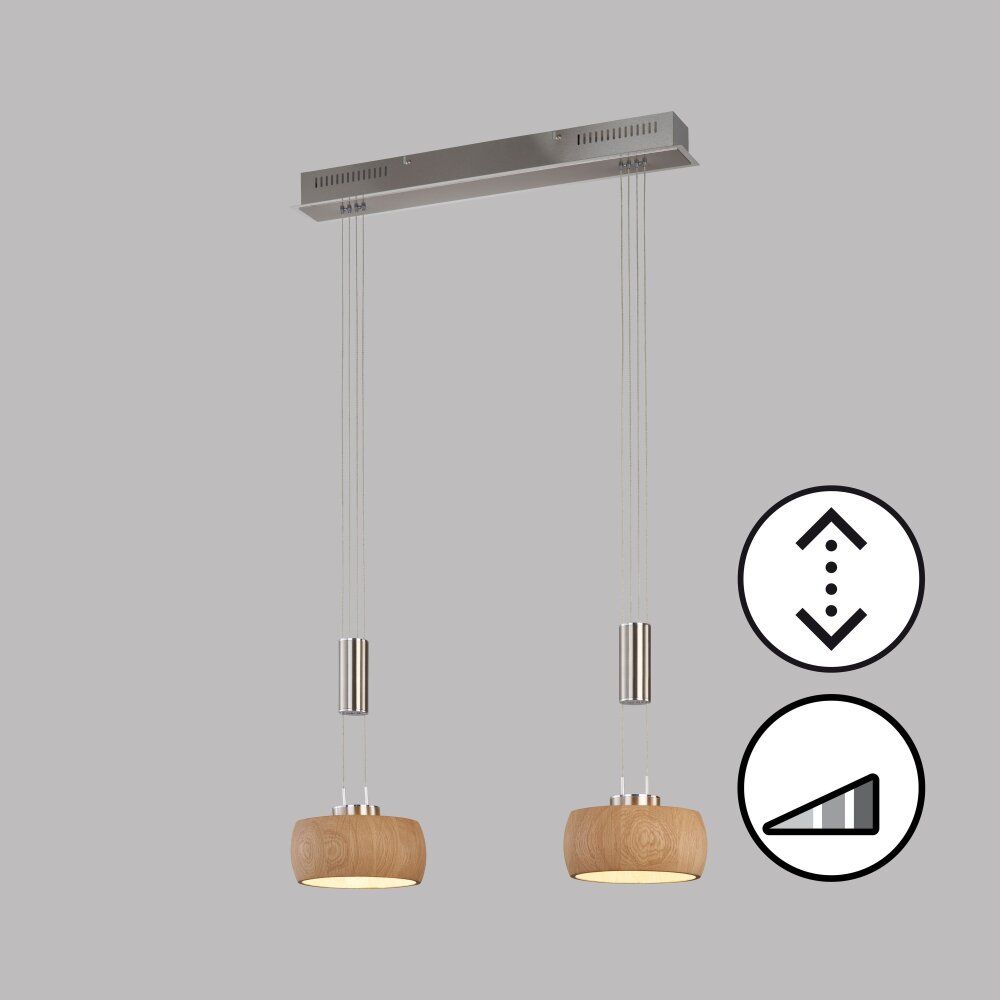 Fischer & Honsel SHINE-WOOD Pendelleuchte LED Nickel-Matt, 2-flammig main product photo