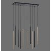 Paul Neuhaus FLUTE Pendelleuchte LED Schwarz, 10-flammig